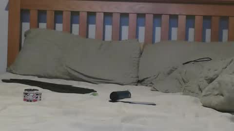 Snapshot of j281133 chatting on November 4, 2025, 2:16 pm Big 8 online show from November 4, 2025, 2:16 pm