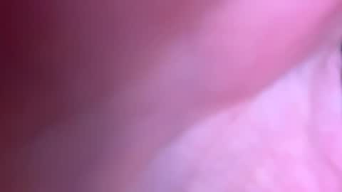 Snapshot of jackjackerman chatting on October 21, 2025, 5:02 pm jackjackerman online show from October 21, 2025, 5:02 pm