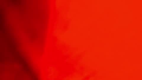 Jackson Bell online show from December 23, 2024, 4:50 pm