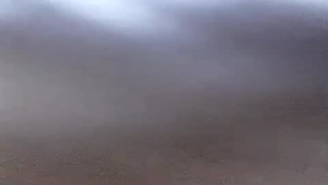 Snapshot of jacksonroy_ chatting on July 17, 2026, 11:53 pm jacksonroy online show from July 17, 2026, 11:53 pm
