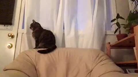 Snapshot of jacobmotes chatting on October 19, 2025, 11:00 am Jacob online show from October 19, 2025, 11:00 am