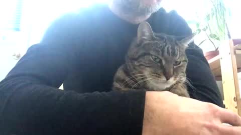 Snapshot of jacobmotes chatting on February 15, 2026, 1:20 pm Jacob online show from February 15, 2026, 1:20 pm