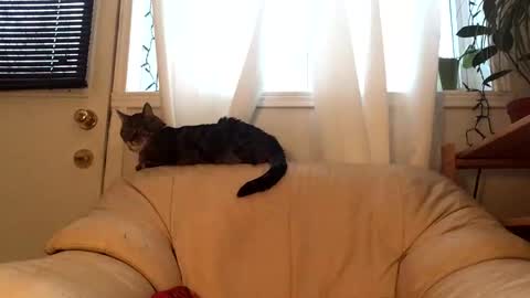 Snapshot of jacobmotes chatting on February 17, 2026, 9:54 pm Jacob online show from February 17, 2026, 9:54 pm