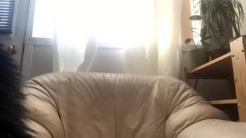 Snapshot of jacobmotes chatting on February 24, 2026, 3:43 pm Jacob online show from February 24, 2026, 3:43 pm