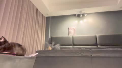 Snapshot of jacolandia chatting on February 23, 2025, 6:56 pm jacolandia online show from February 23, 2025, 6:56 pm