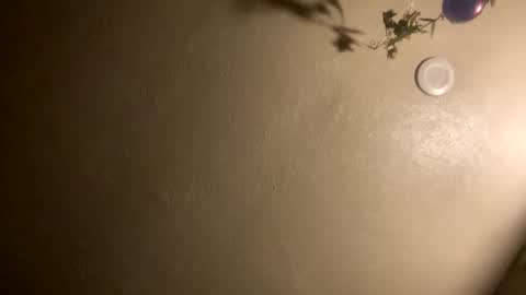 Snapshot of jadon2bnu2nt chatting on January 7, 2026, 2:03 am Jason online show from January 7, 2026, 2:03 am