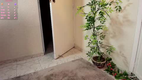 Snapshot of jahgio chatting on November 19, 2025, 7:08 am Jahgio online show from November 19, 2025, 7:08 am