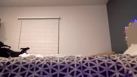 jaidenblake online show from December 2, 2024, 9:45 am