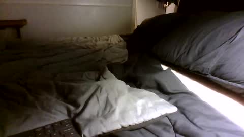 Snapshot of jamacianmehorny chatting on September 30, 2025, 3:00 am Jamacian online show from September 30, 2025, 3:00 am