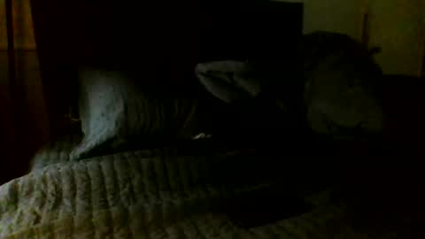 Snapshot of jamacianmehorny chatting on November 7, 2025, 5:07 am Jamacian online show from November 7, 2025, 5:07 am