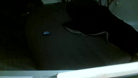 Jamacian online show from December 14, 2025, 8:13 pm