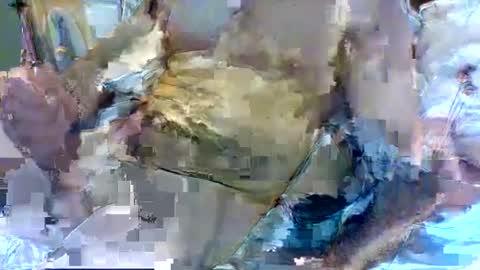 jameswhite5001 online show from February 8, 2025, 3:21 pm