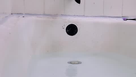 Bootyshows online show from March 1, 2026, 9:17 pm