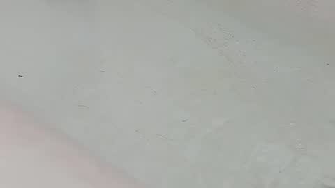 Bootyshows online show from July 25, 2026, 1:58 am