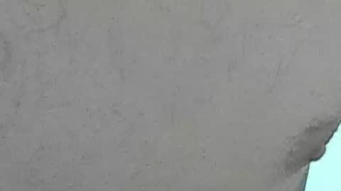 Bootyshows online show from July 28, 2026, 6:20 pm