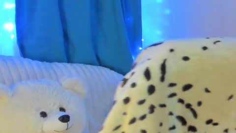 JansyLines online show from December 27, 2024, 8:24 am