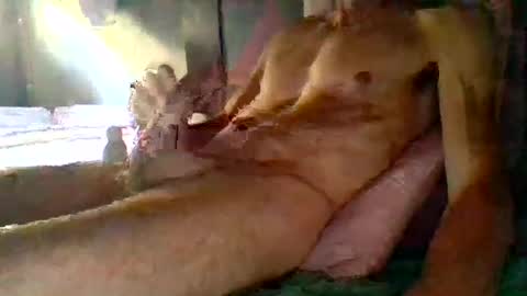 janzibor online show from July 6, 2026, 12:46 pm