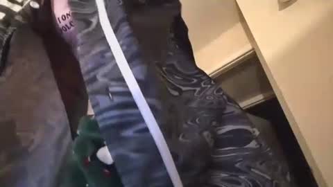 Snapshot of jasper1thewhor3 chatting on October 25, 2025, 5:04 am jasper1thewhor3 online show from October 25, 2025, 5:04 am