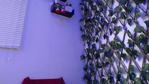 JKing  online show from December 17, 2024, 7:04 pm