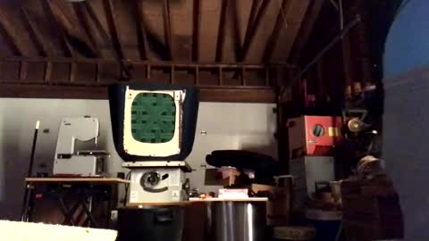 Snapshot of jawssharkparty chatting on October 11, 2025, 4:22 am Jaws online show from October 11, 2025, 4:22 am