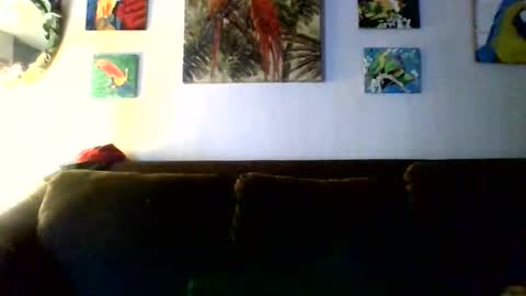 Snapshot of jay_jay1475 chatting on February 11, 2026, 9:42 pm jay-jay1475 online show from February 11, 2026, 9:42 pm