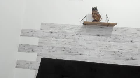 Jaycreedd online show from October 2, 2025, 9:55 pm