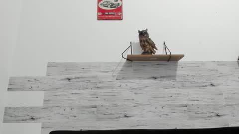 Jaycreedd online show from October 10, 2025, 1:48 am