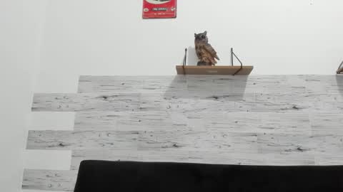 Jaycreedd online show from January 14, 2026, 3:23 am