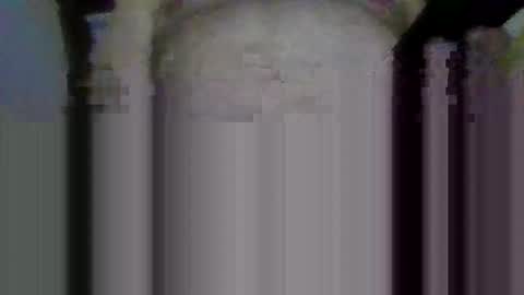 jb78510170 online show from March 22, 2026, 4:27 am