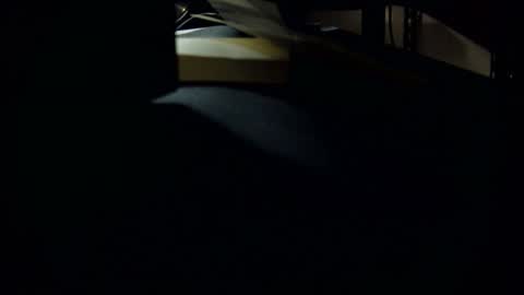 dookie online show from March 1, 2025, 10:24 am