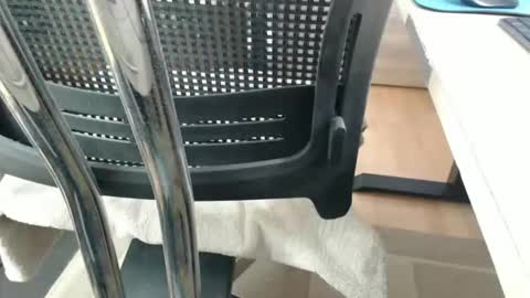 jc200000 online show from April 21, 2026, 5:28 pm