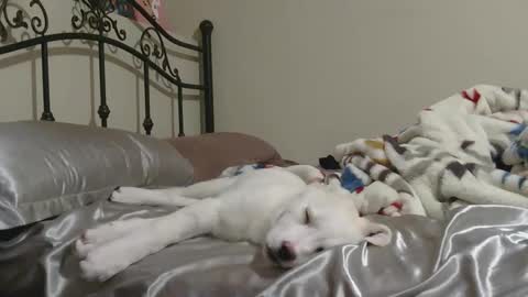 Jack online show from February 2, 2026, 7:51 am