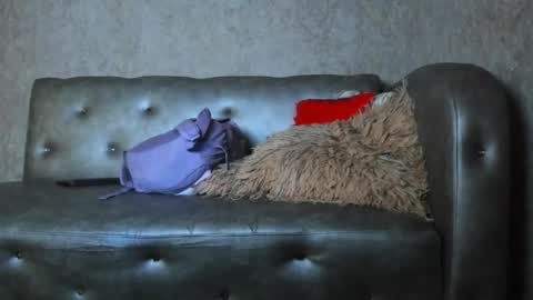 jd thebaby online show from January 12, 2026, 12:54 pm