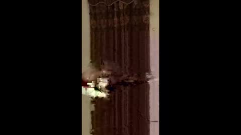 jedpiazza163893 online show from May 25, 2026, 7:36 am