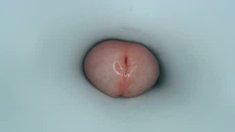 jeffrodgerschaturbat online show from January 11, 2025, 12:50 pm