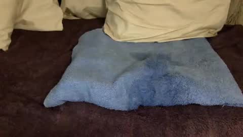 Jelli and Melli online show from March 10, 2025, 7:21 am