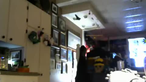 Snapshot of jello9 chatting on July 20, 2026, 1:24 pm Jello9 online show from July 20, 2026, 1:24 pm