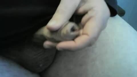 jellydaddy57 online show from January 24, 2025, 1:03 pm