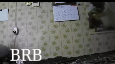 jellykulli online show from March 3, 2025, 4:24 pm