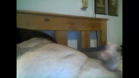 jerkmate6666 online show from May 15, 2026, 12:50 am