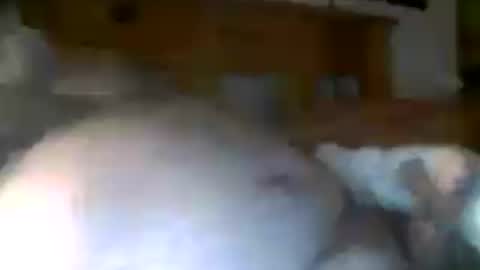 jerkmate6666 online show from July 15, 2026, 8:52 am