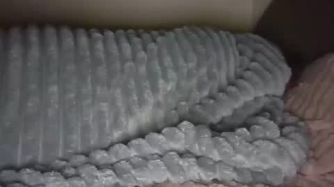 jesica2804 online show from February 11, 2025, 11:44 pm