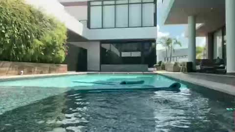 Jessica Parker online show from September 28, 2025, 5:29 pm