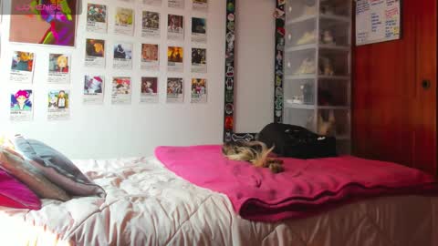 Your Sweet Angel online show from February 12, 2026, 7:09 pm