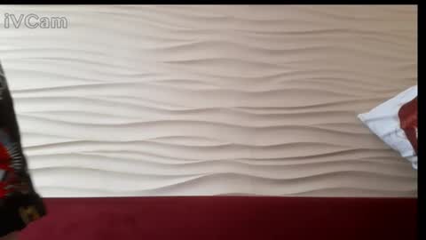 Alexandria online show from March 12, 2025, 9:23 am