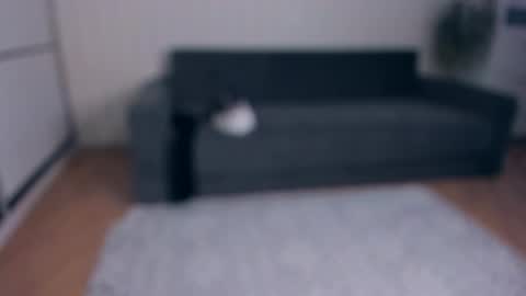 NEW VIDEO IN BIO online show from November 25, 2025, 7:52 am