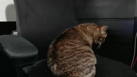 jhnbsomersxh0v1 online show from March 30, 2026, 11:11 am