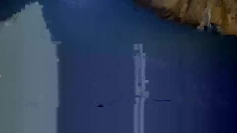 Snapshot of jimmyswagg4200 chatting on February 1, 2025, 6:51 pm Jimmyswagg420 online show from February 1, 2025, 6:51 pm