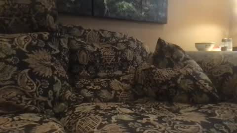 Snapshot of jlk7777 chatting on December 4, 2024, 7:01 pm jlk7777 online show from December 4, 2024, 7:01 pm