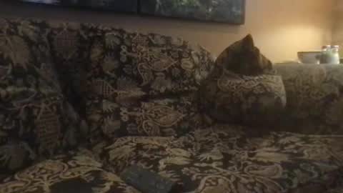 Snapshot of jlk7777 chatting on February 25, 2025, 5:04 pm jlk7777 online show from February 25, 2025, 5:04 pm